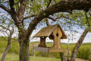 Cerckova domacija_april 2020_POMANJSANE-29-20